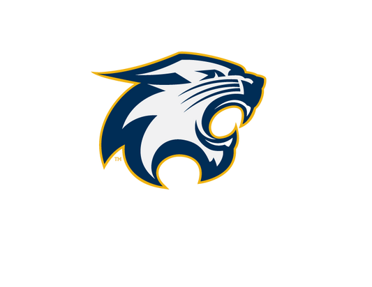 River Falls Retail Online Wildcat Magnet