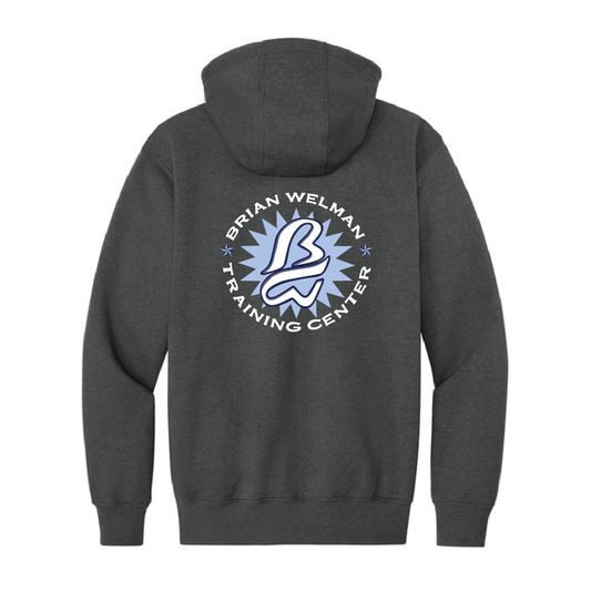 Welman Carhartt Rain Defender Paxton Heavyweight Hooded 1/4-Zip Sweatshirt with Embroidery