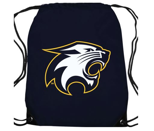 River Falls Retail 41 Wildcat Cinch Bag