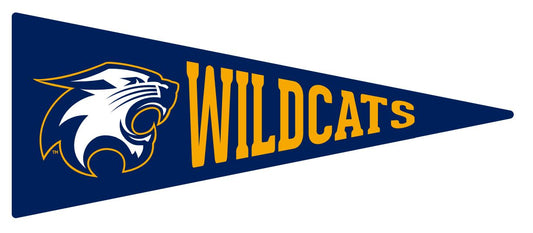 River Falls Retail Online Pennant Flag