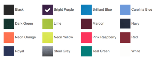 TCLAD Port Authority Ladies Silk Touch Performance Polo