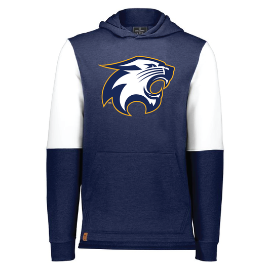 River Falls Retail Online Youth Holloway Ivy League Team Hoodie
