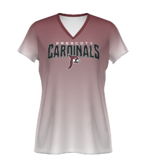Prescott Retail Online Ladies V-neck Cotton Feel T-shirt
