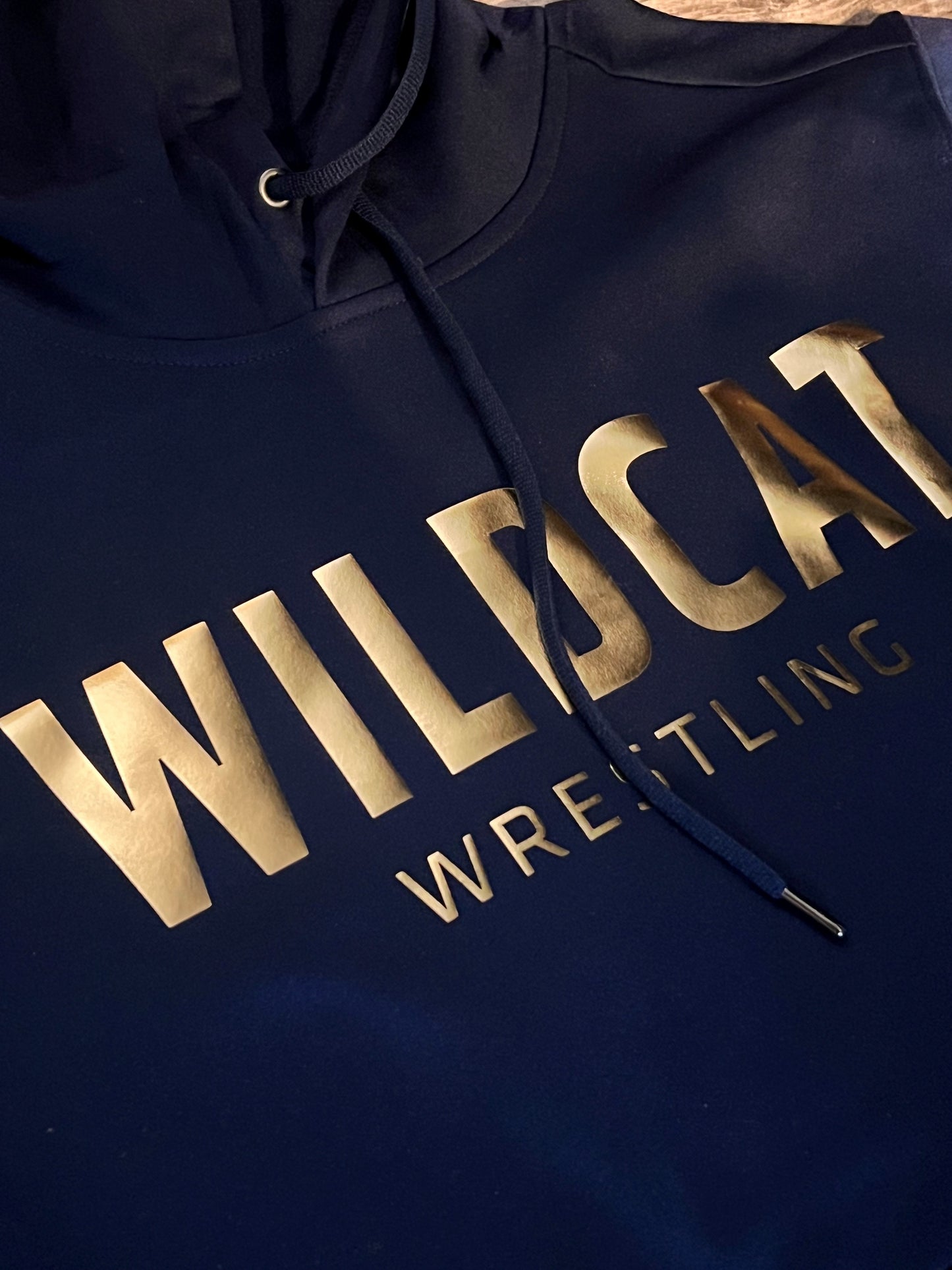 River Falls Retail Online- RF Wrestling Polyester Hooded Sweatshirt - 2025